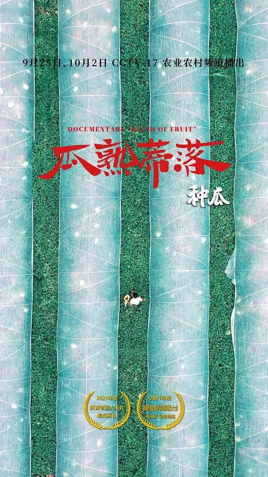 《瓜熟蒂落》：长明河畔的岁月尘埃，一段关于成长、离别与乡愁的细腻描绘，娱乐圈的浮华能否掩盖质朴的情感？